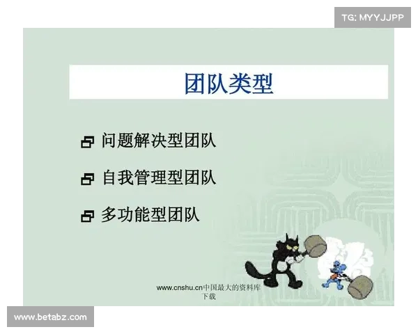 核心战术驱动下的团队协作与战略执行模式探讨 核心战术驱动下的团队协作与战略执行模式探讨